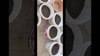 #varmicompost#cocopet#rs 140 par  40kg# cheap and best quality# compost#pot mixing#full video 👇