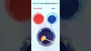 The Science and Art of Color Mixing: A Complete Guide to Blending Colors Effectively