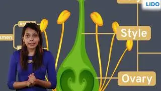 Plant Reproduction Methods | Plant Life | Class 6 Science ICSE