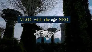 Why the DJI Neo is the Perfect Vlogging Camera