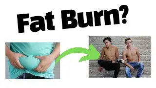 Exipure Review 2022 | The Real Truth Behind Fat Burn Supplements Scientific Proof