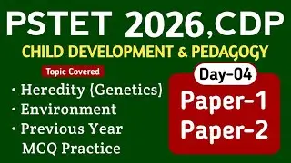 PSTET 2024 | PSTET CDP Preparation | Day-4 |  PAPER-1, PAPER-2 | Study Fighters CDP