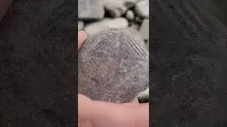 What is this? Creek find