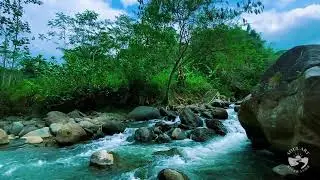 Tranquil River Crossing at Midnight | Calm Water Flow Sounds for Deep Sleep
