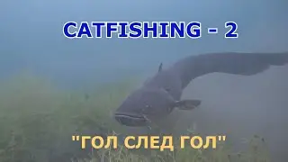 CATFISHING 2  -  2025
