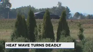 Oregon's heat wave turns deadly; Portland metro-area hospital beds at 