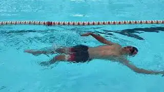 BIDEO OSOA (igeri 4 estiloak)