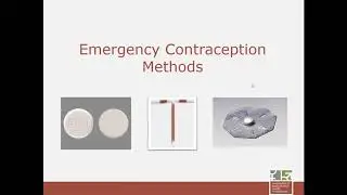 Update on Emergency Contraception (EC): Options, Effectiveness, Ongoing Use, and Access