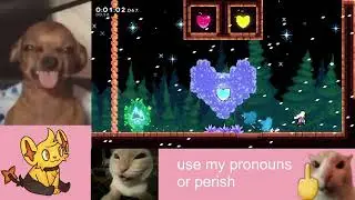 A Random Celeste Tutorial Level by Michael Drums 100% (including B-Side) in 1:17,112