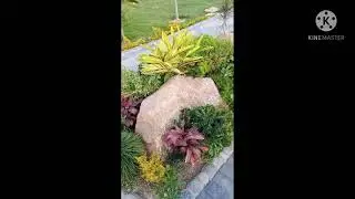 MultiGarden zoo || Multi Zoo & Bird Aviary Islambad