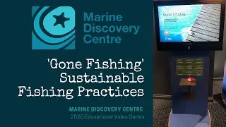 Gone Fishing - Sustainable Fishing Practices from the Marine Discovery Centre