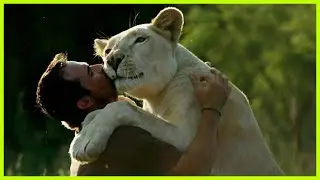 Reunion animal and human Most Heartwarming Animals Reunion with Their Owners That Will Make You Cry