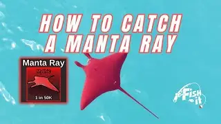 MYTHIC OCEAN BEAST - How to Catch the Manta Ray in Roblox Fish It