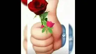 #لاله چه مست محفلی#فردوس ایشانقل_