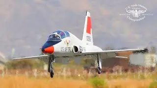 GIANT SCALE T-38 TALON: PILOT'S CHOICE WINNER! SCALE MASTERS 2024