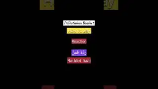 Learn Palestinian Dialect. How to say ( REACTION ) in Arabic? #arabic #falastine #levantinearabic