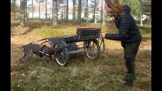 Vår första klass3-tävling i Nose Work