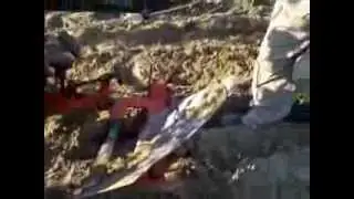 Fortschritt E 931.50 sz&aacute;nt&aacute;s