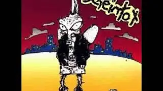 Scheintot - Wachtmeister Kolle