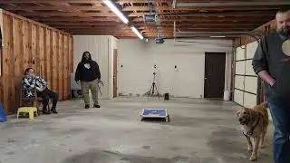 January 11, 2026