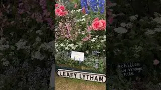 Leafy Lytham RHS Tatton Park Silver-gilt Medal Winner. #rhstattonpark