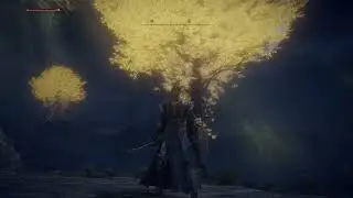 Trina's Lily Location - Waypoint Ruins - Elden Ring