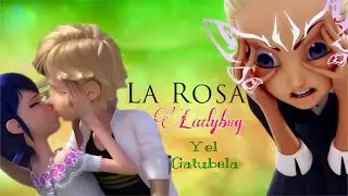 La Rosa de Ladybug | Fan de su relación Parte 2 | Parodia Miraculous ladybug temporada 6
