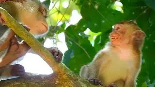 Poor baby Alba  is so hungry, Tiny girl Alba asks for milk from mom Anna! Alba crying loudly!