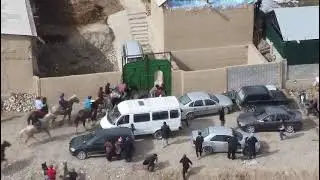 Буз каши далёни боло