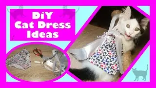 Cat dress IDEAS - DIY | Cat clothes IDEAS! - Underwear to Cat Clothes