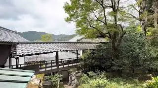 Japan Travel Spring Kyoto