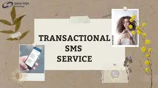 TRANSACTIONAL SMS SERVICE PROVIDER IN INDIA - SPACEEDGE TECHNOLOGY