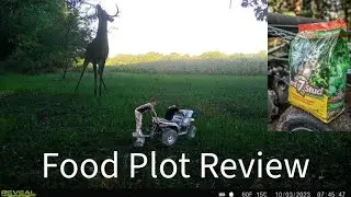 Evolved Harvest 7 Card Stud FOOD PLOT Review! 2023