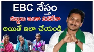 EBC Nestham Payment Status Check | EBC Nestham Payment Release News | EBC Nestham Details