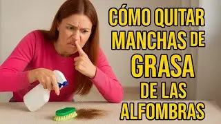 C&oacute;mo quitar manchas de grasa de las alfombras