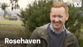 Rosehaven: Luke McGregor as Daniel