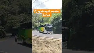 Bus djayalangit makin keren