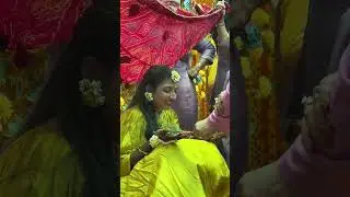 💛🌿 Haldi &ndash; When Love Meets Yellow Vibes! 🌿💛