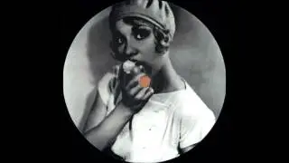 Black Booby - Sun Lab Export