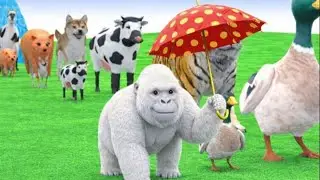 Long Slide Game With Cow Gorilla Hippopotamus Tiger 3d Animal Game Funny 3d Animals