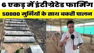 50000 मुर्गी के साथ बकरी और मछली पालन😇Integrated Farming in Dehri | 80 बकरी से Goat Farming Business