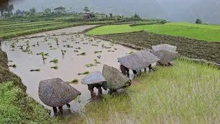 Heavy rainy day in nepal village  |surviving harsh rain  in the west side nepal | 