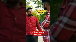 Tiger attack in mohan jim corbett #shorts #jimcorbett #mohan #tigerattack #viral #trending