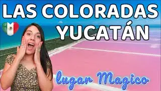 LAS COLORADAS YUCAT&Aacute;N , UN LUGAR MAGICO E IMPERDIBLE EN MEXICO! 🦩