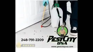 Pest Control Southfield MI | Pest city