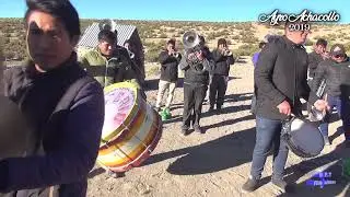 Ayro Achacollo Festividad San Santiago 2019