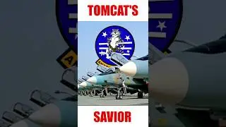 The unlikely savior of the F-14 tomcat