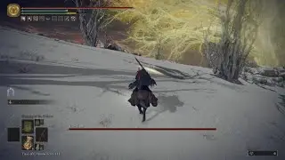 ELDEN RING: Fire Giant Instant Death Bug