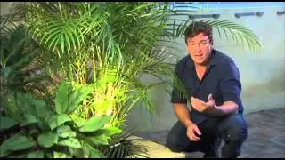PondMAX The Garden Gurus - Outdoor lighting HD