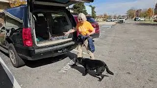 FOCCAS adoptable dog Rocket (now Rocky) loads up in the car crate